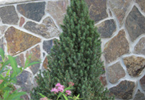ecologically_sound